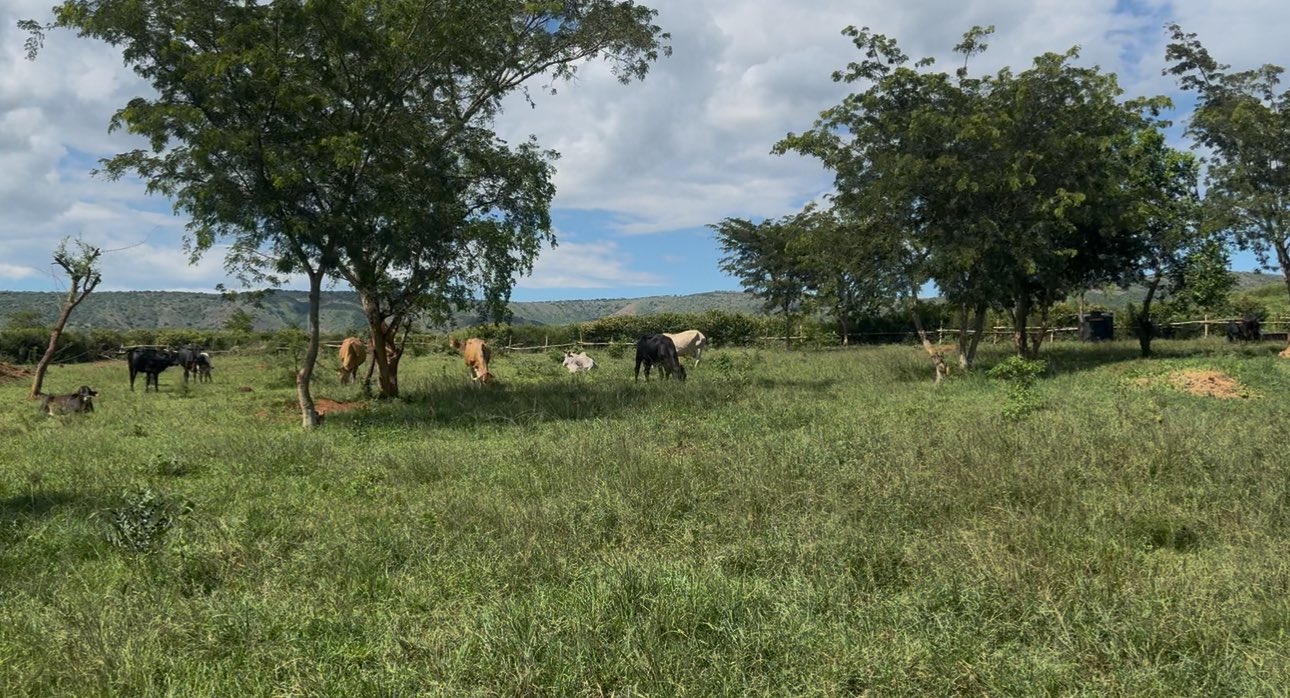 Joseph Ryarasa yatunze urutoki ingaruka zihishe inyuma y’ubutaka bunini budahingwa